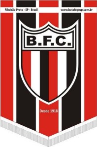 opanteratricolor.blogspot.com 1