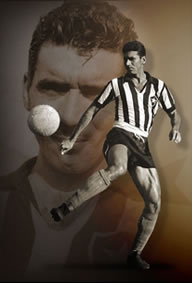 http://www.botafogo.com.br/oclube/idolos.asp