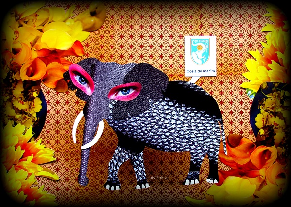 O elefante da Costa do Marfim, por Lais Sobral: www.flickr.com/photos/lais-sobral/