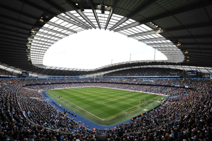 Staium_shots_(2)_original.jpg image