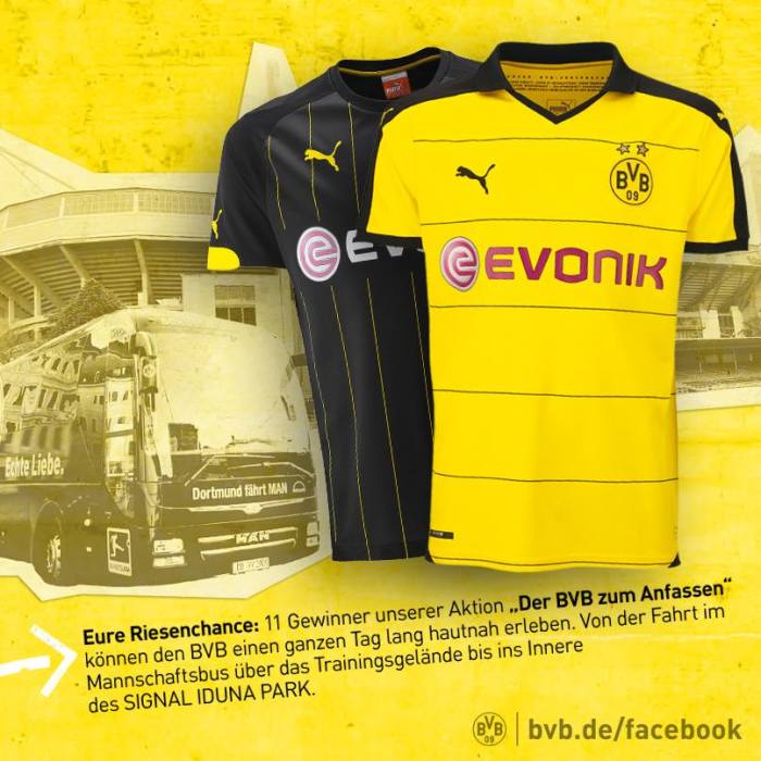 11202645_1187636794581632_3040284786710684888_n